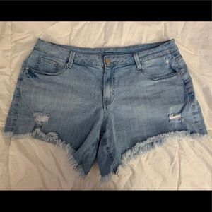 Lane Bryant Jean Shorts